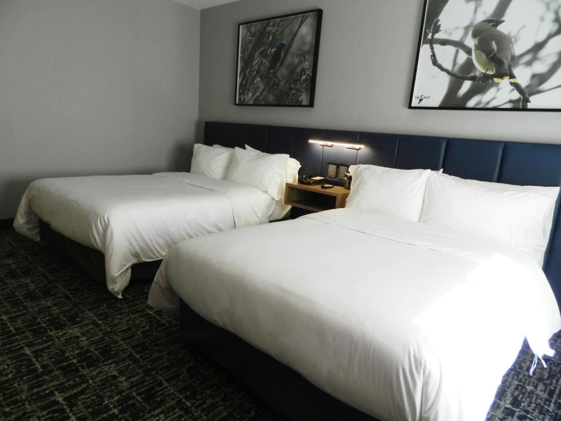 Voco Saltillo Suites By Ihg Exterior foto